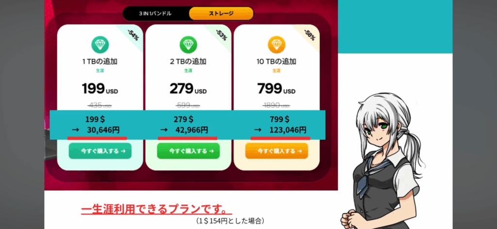 pCloud2025ブラックフライデー1