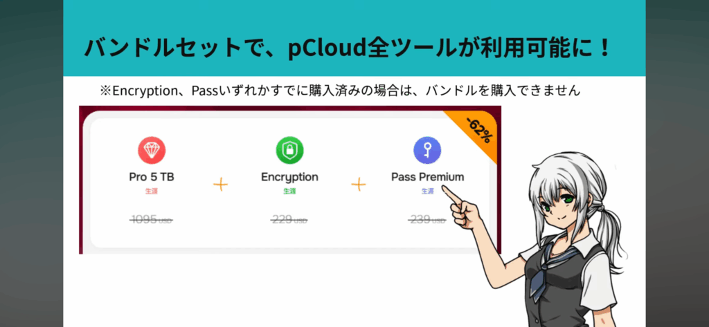 pCloud2025ブラックフライデー3
